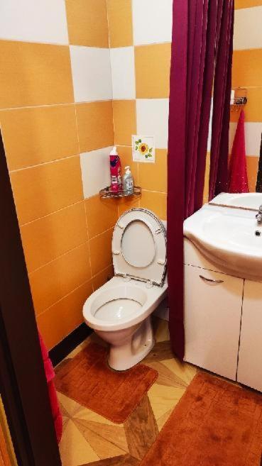 Apartmany Sarka Ujezd U Hradce Kralove Hradec Králové Buitenkant foto